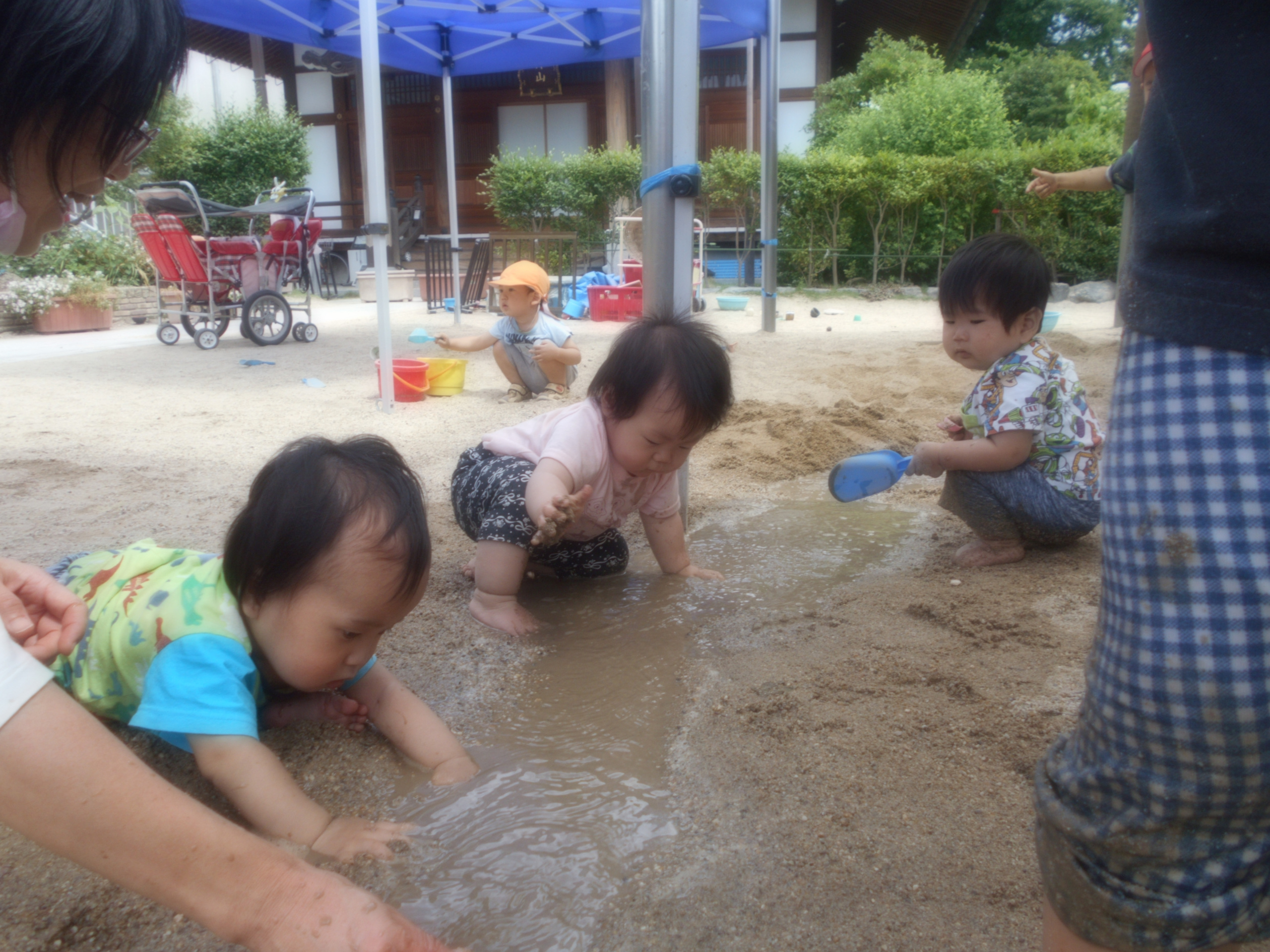 dscn1270.jpg